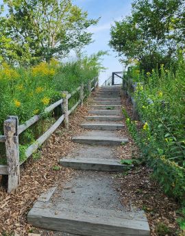 Path to a Nature Trail